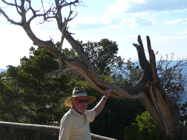 images/E-Hopi Point- Canyon View (6).jpg